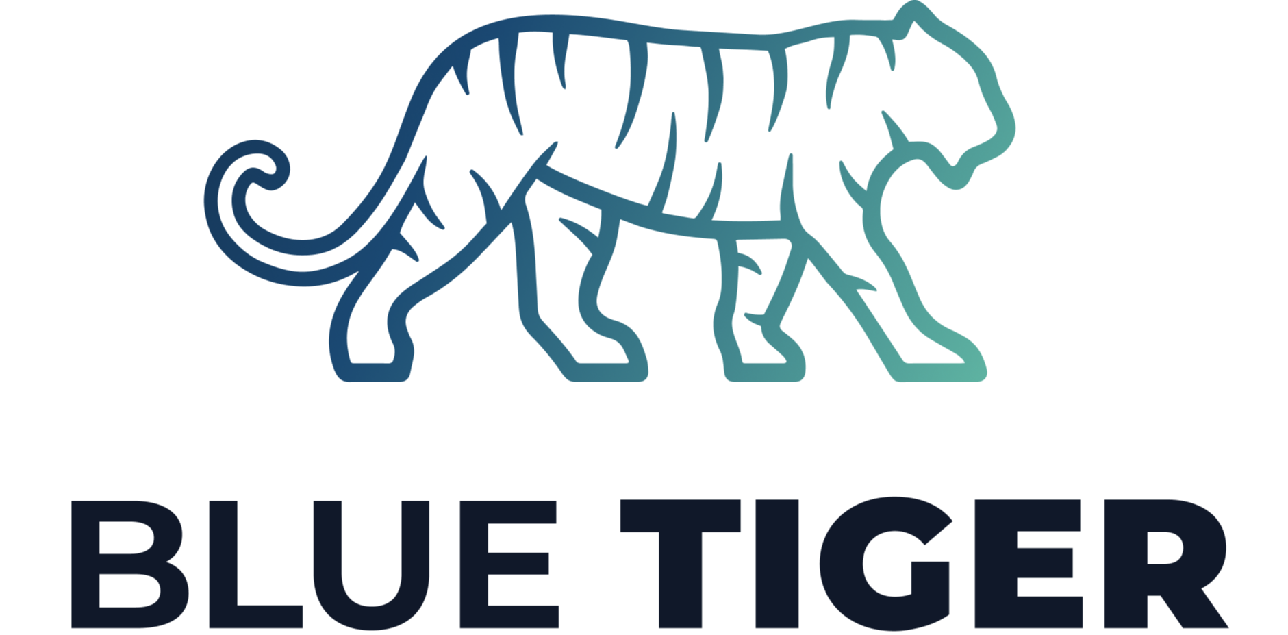 Blue Tiger GmbH & Co.KG